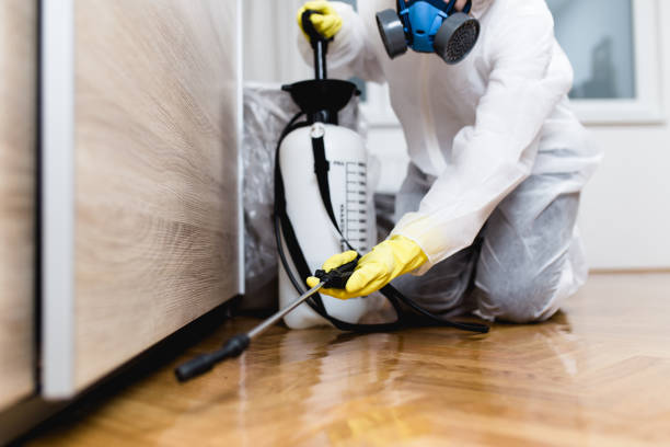 Wasp Removal Services in La Puebla, NM