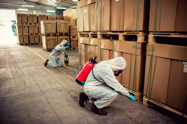 Professional Pest Control in La Puebla, NM