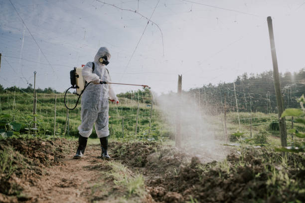 Best Pest Removal Services  in La Puebla, NM