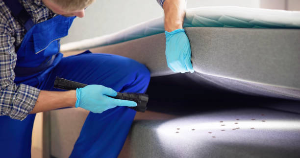 Best Pest Prevention Services  in La Puebla, NM